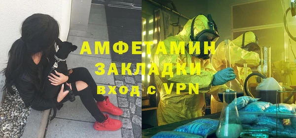 твердый Алзамай