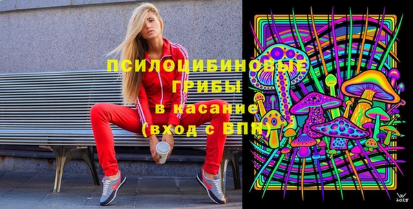 бутират Алексеевка