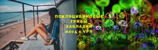 твердый Алзамай